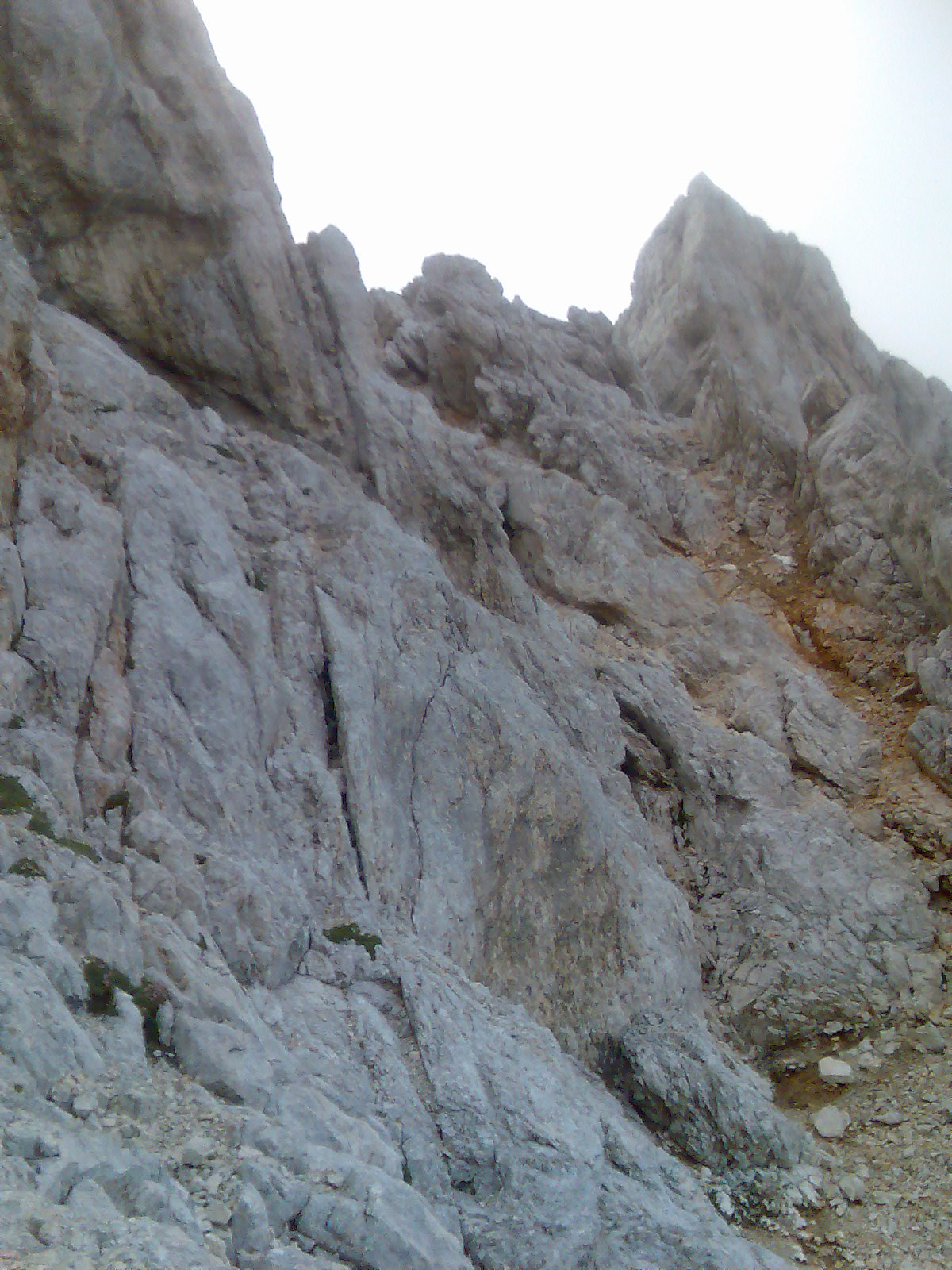 Obraz102